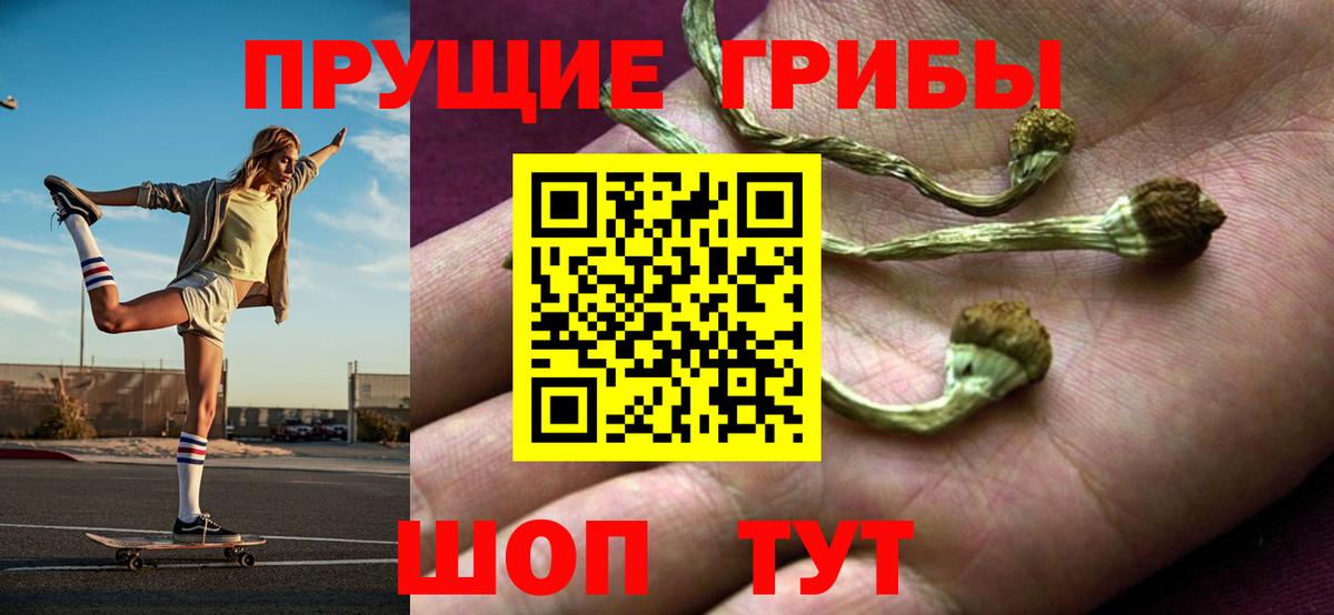 Псилоцибиновые грибы мухоморы Минусинск