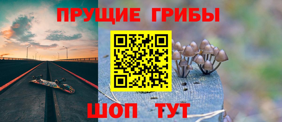 Галлюциногенные грибы Psilocybe  Вход с VPN  Минусинск 
