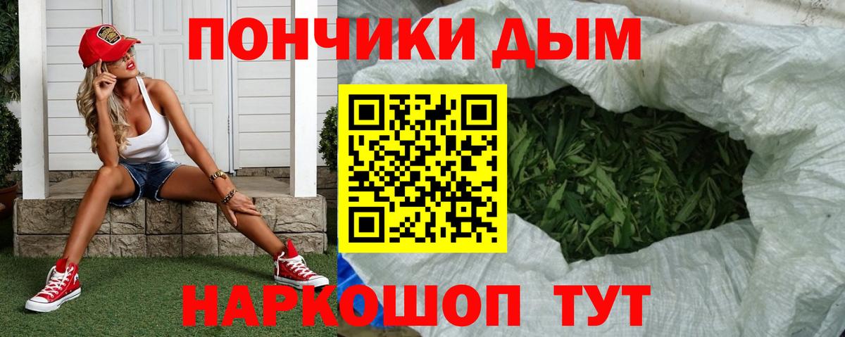 Конопля план Минусинск